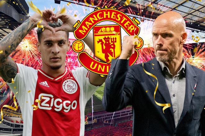 全面的表现 全面的表现