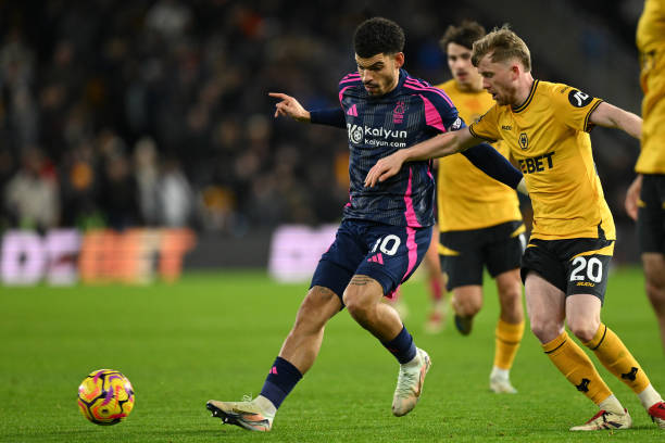 这篇文章将 这篇文章将