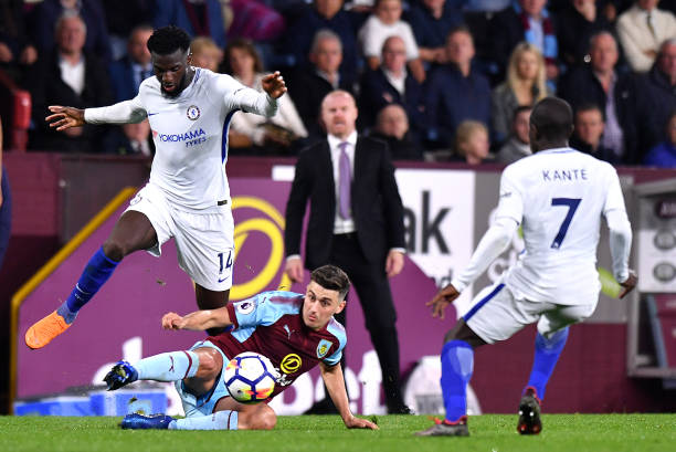 高原动物多 高原动物多