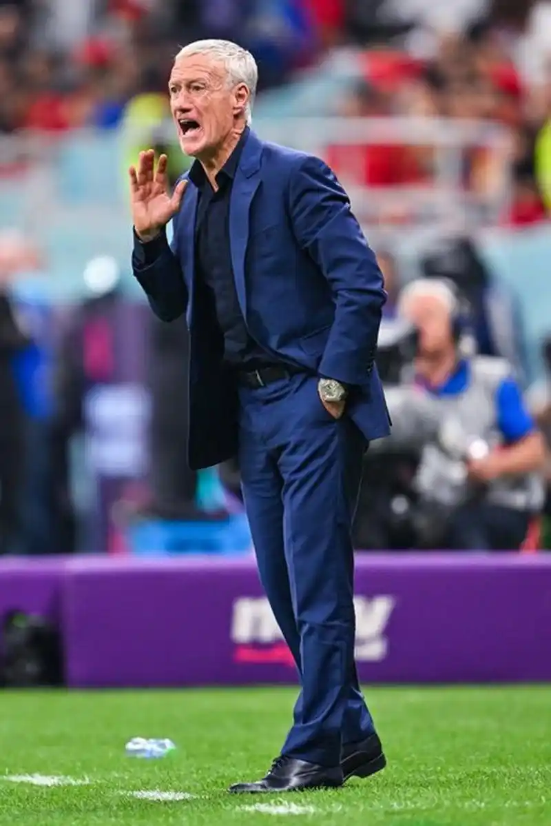 这些鲜活的 这些鲜活的